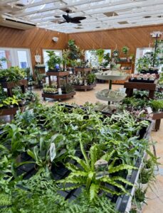 a room filled with lots of potted plants