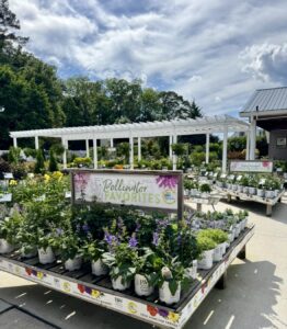 a truck filled with lots of potted plants