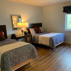 a bedroom with two beds and a desk