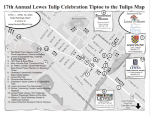 a map of the 13th annual tulip celebration