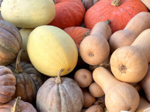 a pile of different types of pumpkins and squash