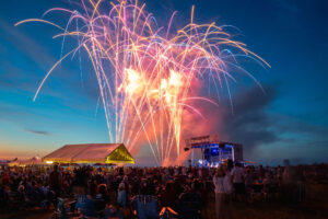 a large group of people watching fireworks at night