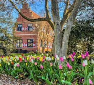 tulips and other flowers in front of a brick building