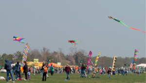 a group of people flying kites in a field