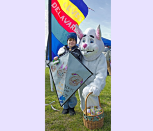 a person holding a kite in a field