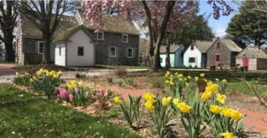 a row of houses sitting next to each other on a lush green field