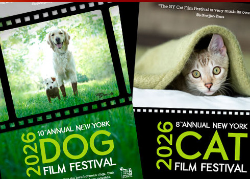 a dog and a cat under a blanket