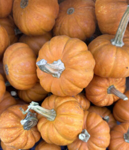 a bunch of small pumpkins stacked on top of each other